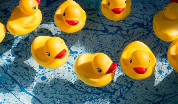 Collection Of Plastic Ducks Floating On Water