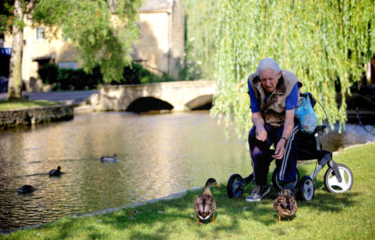 Feeding the ducks