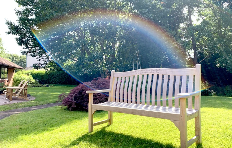 Rainbows in the garden