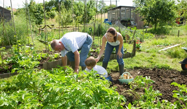 Volunteer Garden Day