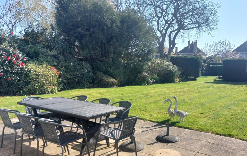 Tamar Garden March 3