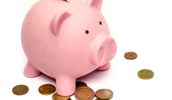 Money Box Shaped Like A Pig