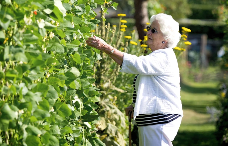 Green-fingered residents love tending to the garden