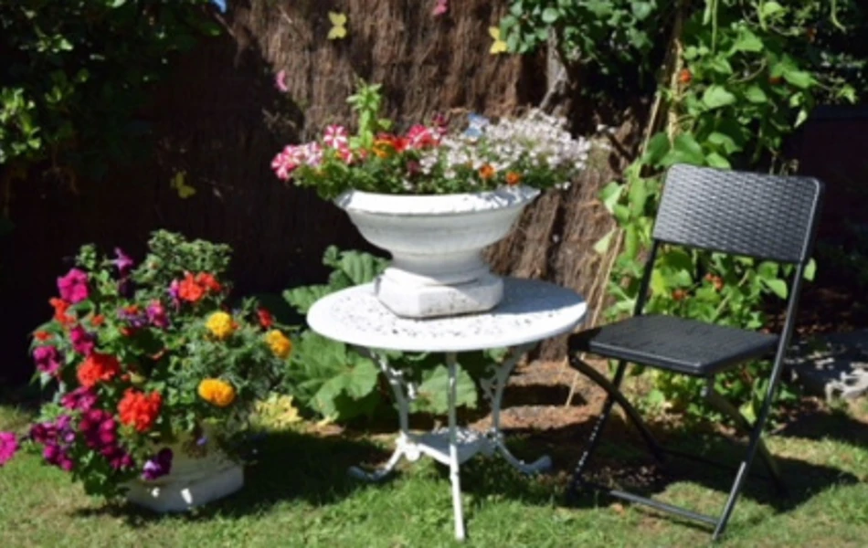 Garden of Abbeyfield House, Westbury BA13 3EP