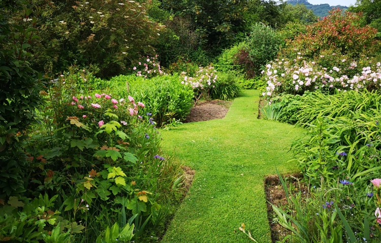 The beautiful landscaped garden full of flowers